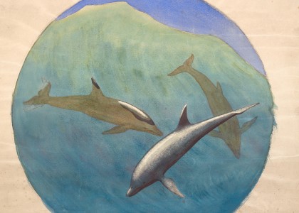 Springende delfiner